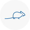 Mice Exterminators In Lisburn
